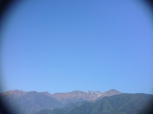 IMG_1298